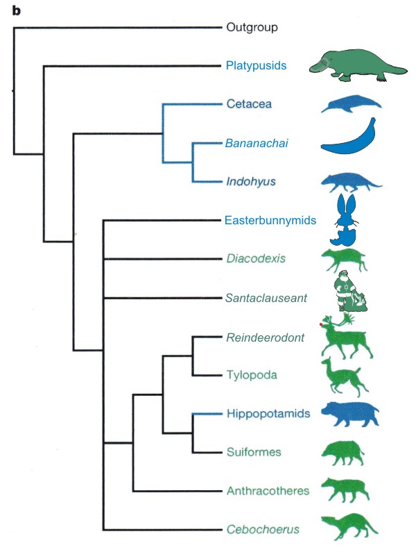 platypus cladogram