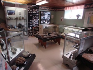 Exhibits in the creation/flood evidence section